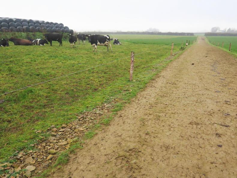 Grassland Farmer of the Year: Meet the finalists Grassland Farmer of the Year: Meet the finalists