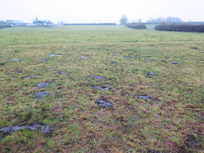 Grassland Farmer of the Year: Meet the finalists Grassland Farmer of the Year: Meet the finalists