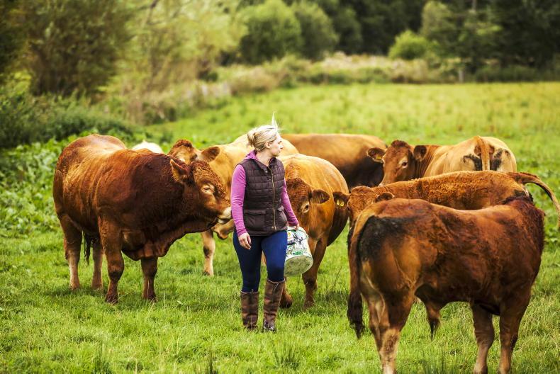 Map: farm census shows increase in young female farmers in 2020 Map: farm census shows increase in young female farmers in 2020