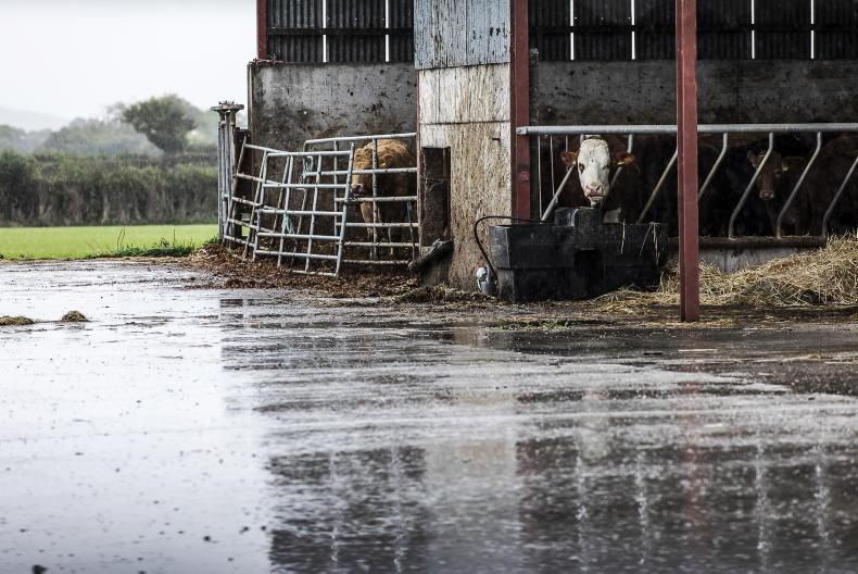 Yellow rainfall warning in place for parts of Munster Yellow rainfall warning in place for parts of Munster