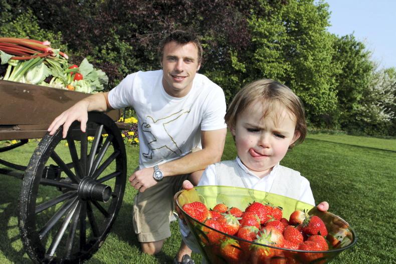 Irish have the highest daily intake of fruit and vegetables - EU study Irish have the highest daily intake of fruit and vegetables - EU study