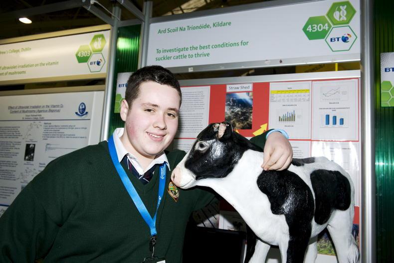 ABP sponsors farm safety at Young Scientist & Technology Exhibition ABP sponsors farm safety at Young Scientist & Technology Exhibition