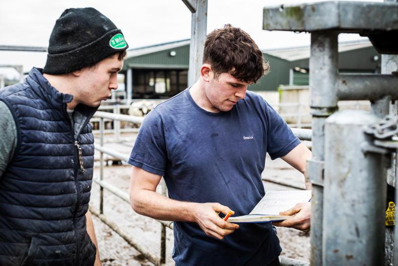 Agri jobs: maternity cover required in Wexford Agri jobs: maternity cover required in Wexford