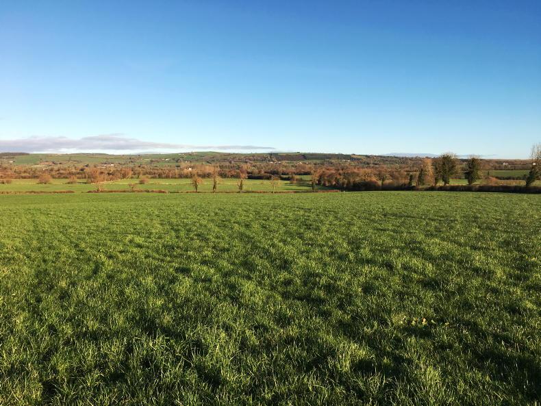 Super land in the shadow of Slievenamon