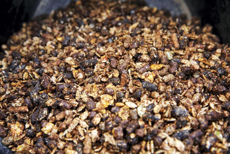 Feed price increase at merchant level covers price of raw materials only - mill Feed price increase at merchant level covers price of raw materials only - mill