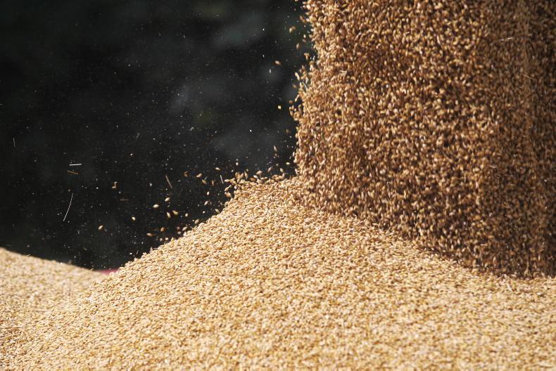 Grain Trends: steady as she goes in grain markets Grain Trends: steady as she goes in grain markets