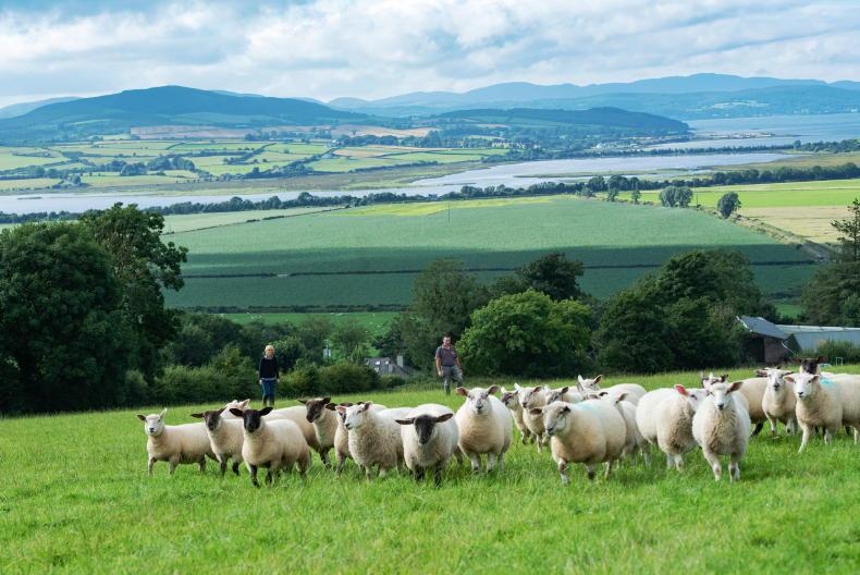 Lotto cash: what would a farmer buy with €19m? Lotto cash: what would a farmer buy with €19m?