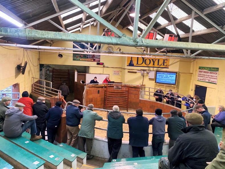 Sigh of relief from farmers back at Blessington Mart Sigh of relief from farmers back at Blessington Mart
