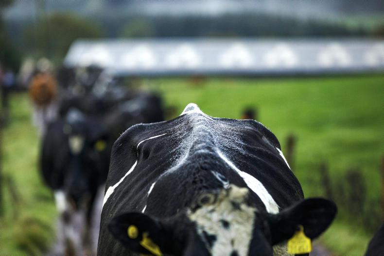 ICMSA criticises proposal which seeks to publish farmer derogation data ICMSA criticises proposal which seeks to publish farmer derogation data