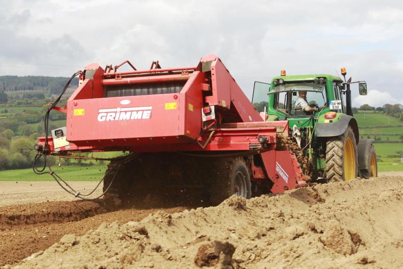 IFA potato report: growers reminded to grow for their target markets IFA potato report: growers reminded to grow for their target markets