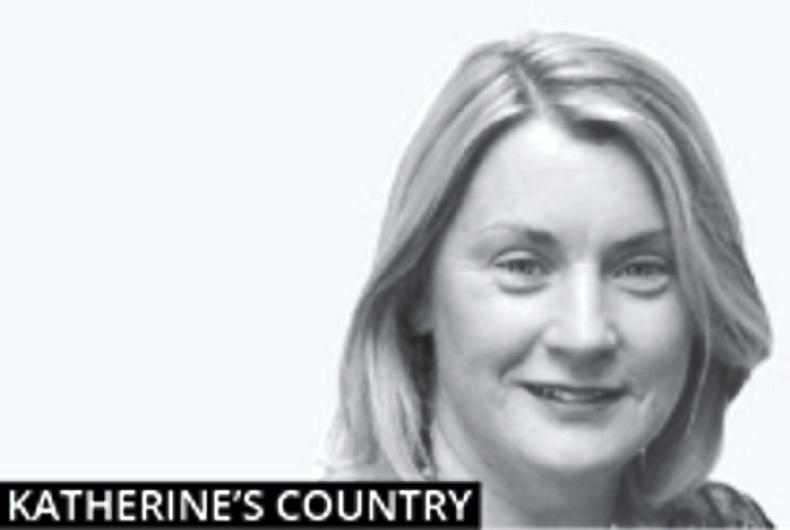 Katherine’s Country: heifer calves aplenty Katherine’s Country: heifer calves aplenty