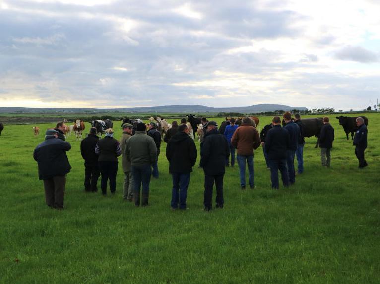 Farmers may lose money by attending Department’s training scheme – ICMSA Farmers may lose money by attending Department’s training scheme – ICMSA