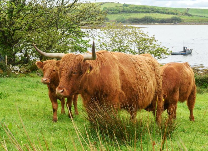 NPWS farm scheme expanding with an extra 200 spaces NPWS farm scheme expanding with an extra 200 spaces