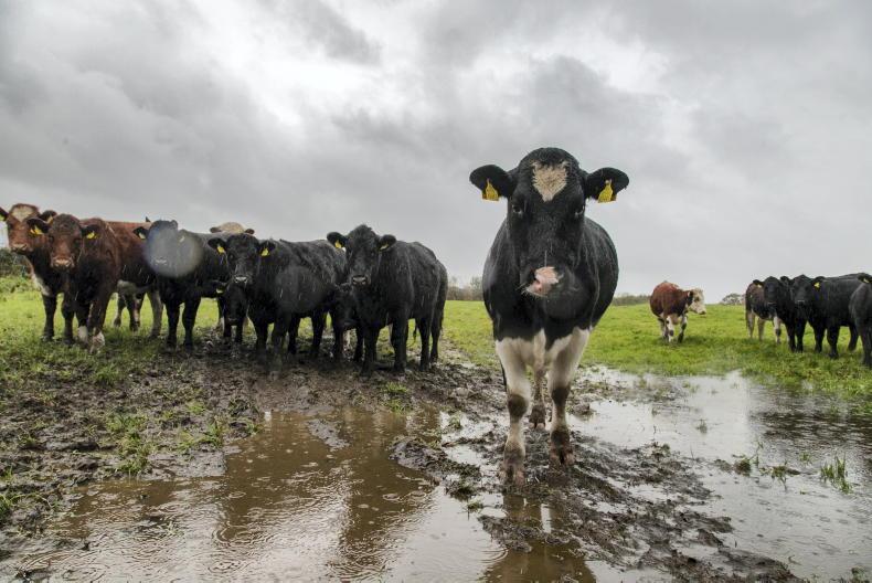 Weekend weather: Storm Eunice set to bring damaging gusts and localised flooding Weekend weather: Storm Eunice set to bring damaging gusts and localised flooding