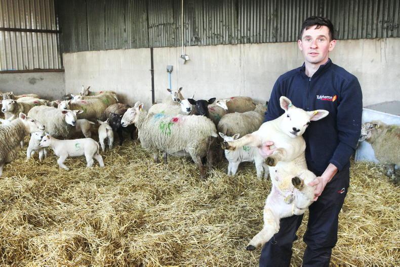 My Farming Week: Darryl Branagan, Kilcoo, Co Down My Farming Week: Darryl Branagan, Kilcoo, Co Down