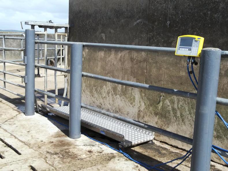 Beef management: weighing, weather and fertiliser Beef management: weighing, weather and fertiliser