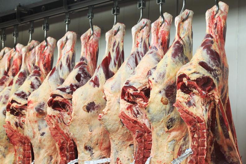 Beef trade crosses magic €5/kg mark Beef trade crosses magic €5/kg mark