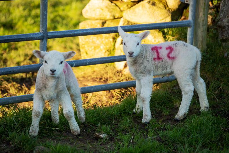 Agri jobs: assistant farm manager on 400-cow Westmeath farm Agri jobs: assistant farm manager on 400-cow Westmeath farm