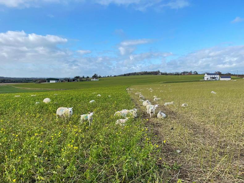 What’s happening on the Footprint Farms? What’s happening on the Footprint Farms?