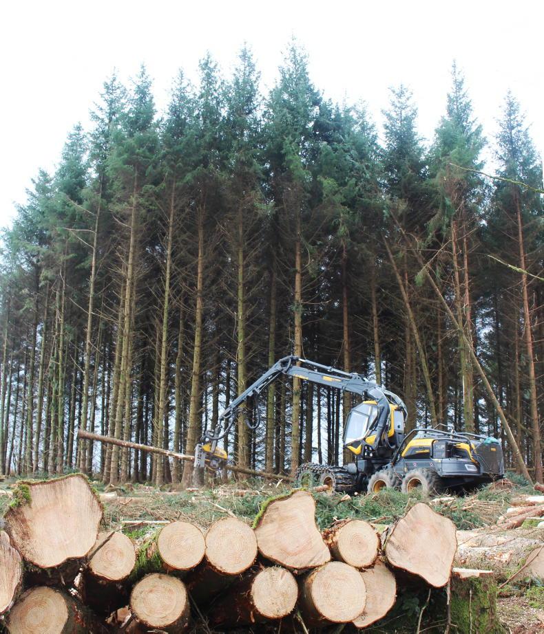 Timing clearfells to maximise revenue Timing clearfells to maximise revenue