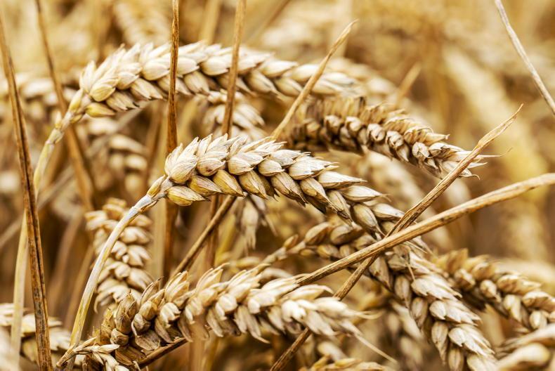 EU switches on to the need for food security EU switches on to the need for food security