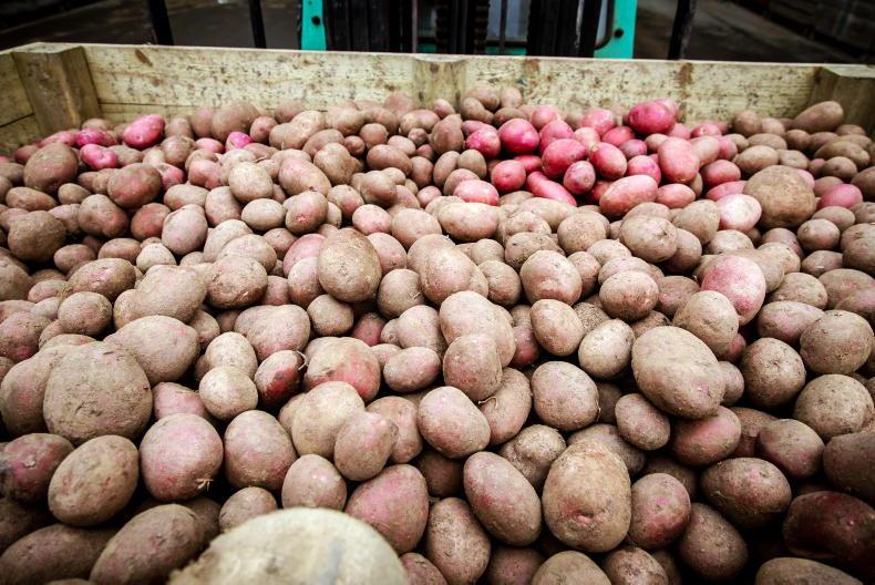IFA demands potato price rise from retail trade Premium
