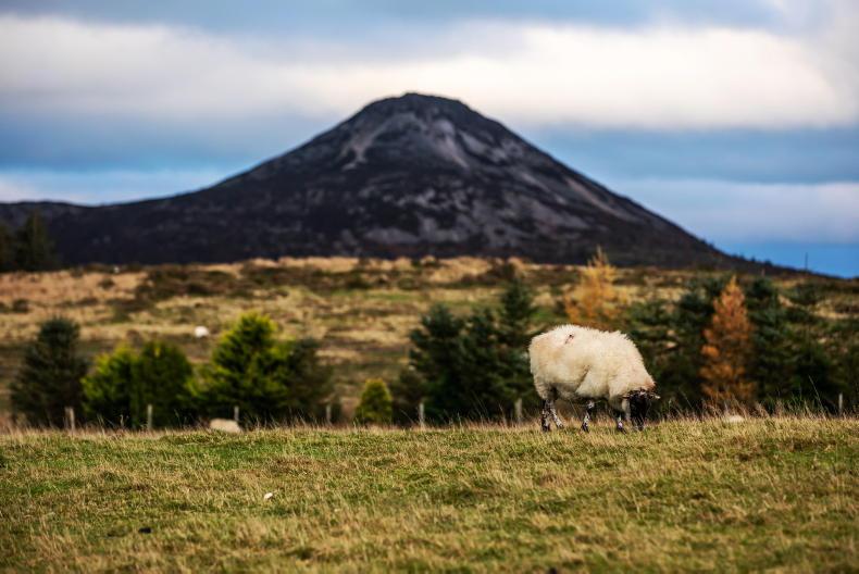 Weekend walks: Climb with Charlie Weekend walks: Climb with Charlie