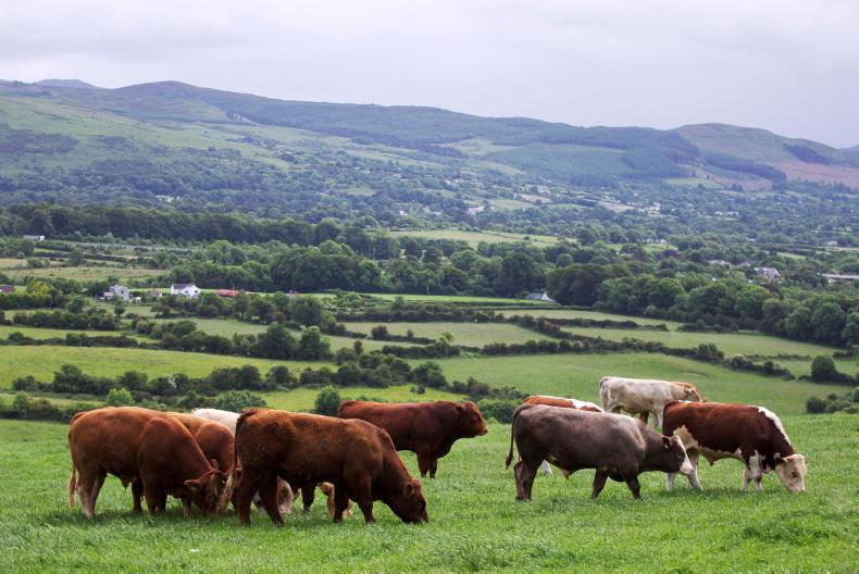 Farms with over 100 cows could need environmental permits Farms with over 100 cows could need environmental permits