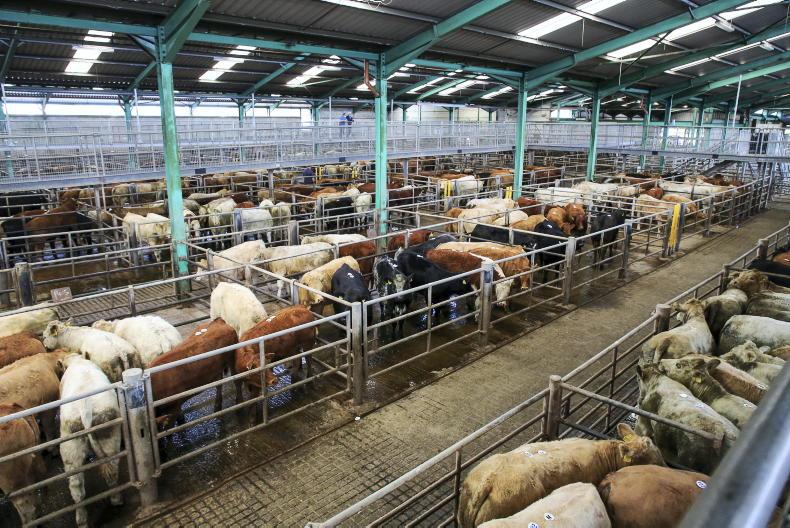 Ennis Mart ordered to pay €10,000 in personal damages to dairy farmer Ennis Mart ordered to pay €10,000 in personal damages to dairy farmer