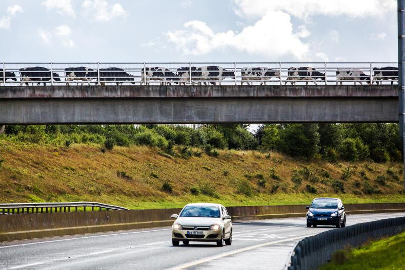 New Limerick to Cork road to affect 2,000 landowners New Limerick to Cork road to affect 2,000 landowners