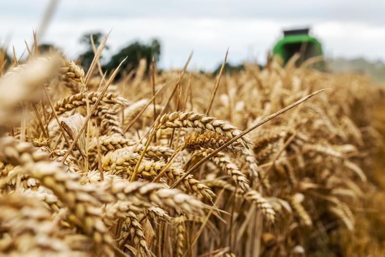 EU net cereal exports to jump ‘almost 40’ in year from June 2022 Free