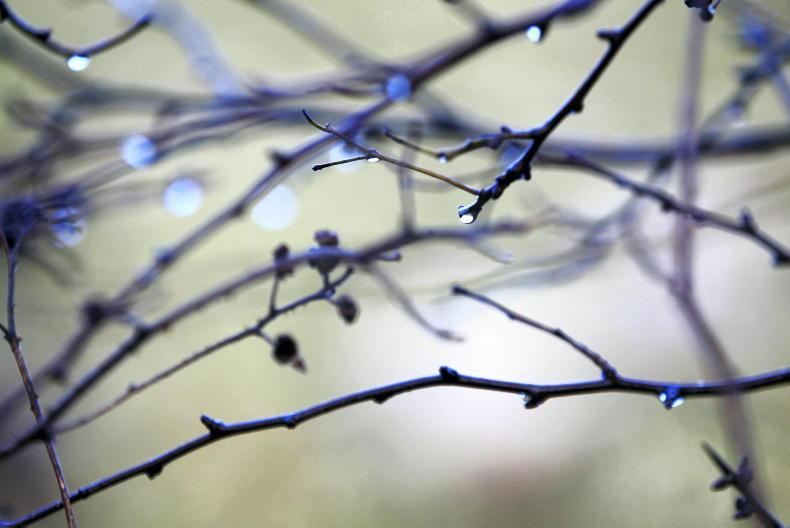 Weekend weather: scattered showers and light breezes Weekend weather: scattered showers and light breezes