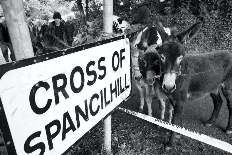 Spancilhill Horse Fair under threat as insurance issue looms Spancilhill Horse Fair under threat as insurance issue looms