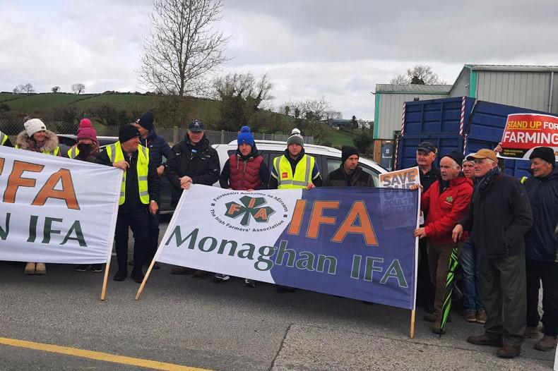 Farmers received price increase, egg packer says Farmers received price increase, egg packer says