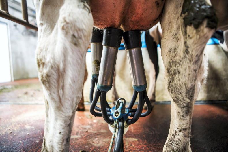 Almost 10% of total milk pool tied up in fixed milk price contracts - ICOS Almost 10% of total milk pool tied up in fixed milk price contracts - ICOS