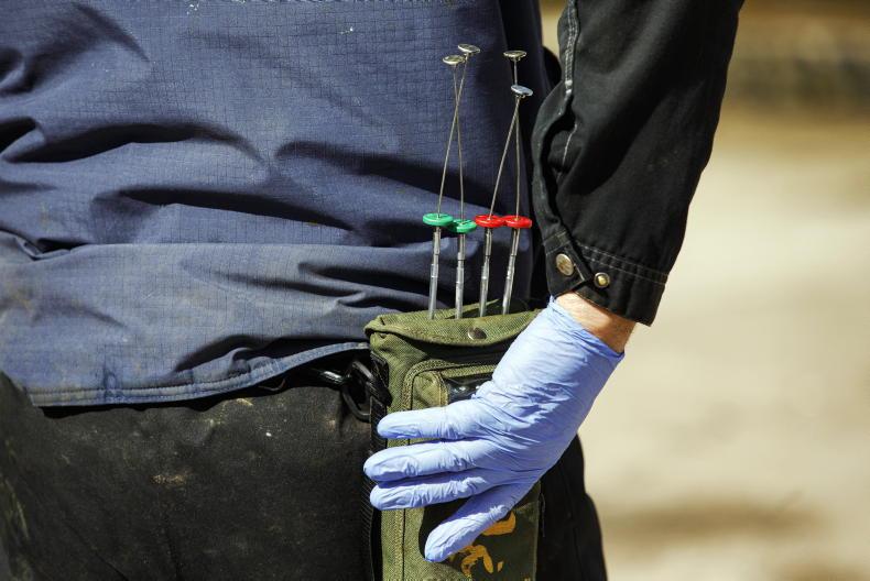 Farmer Writes: good start to the breeding season Farmer Writes: good start to the breeding season