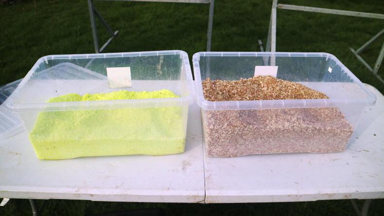 Sheep Management: fertiliser applications, lime, scald and clostridial diseases. Sheep Management: fertiliser applications, lime, scald and clostridial diseases.