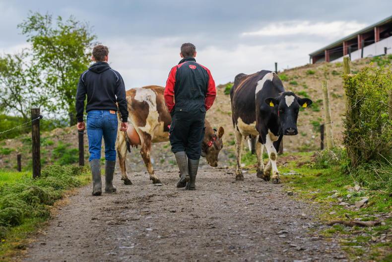 Agri jobs: demand is high for full-time dairy farm workers Agri jobs: demand is high for full-time dairy farm workers