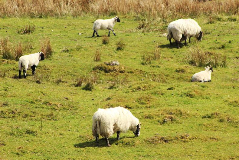 Department confirms ANC stocking changes Department confirms ANC stocking changes