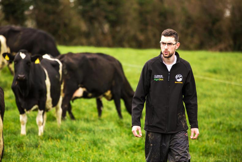 Farmer Writes: improving herd genetics a passion of mine Farmer Writes: improving herd genetics a passion of mine