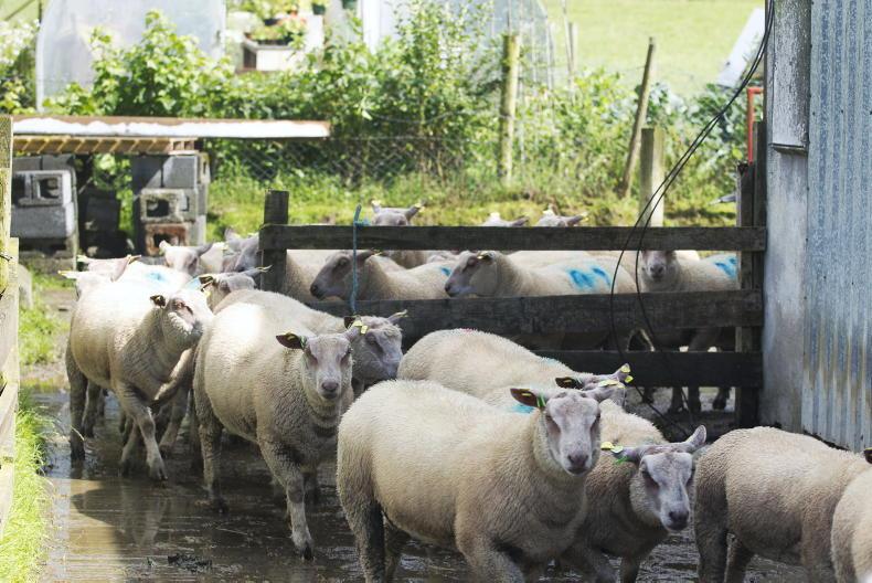 10-point plan for early season dosing 10-point plan for early season dosing