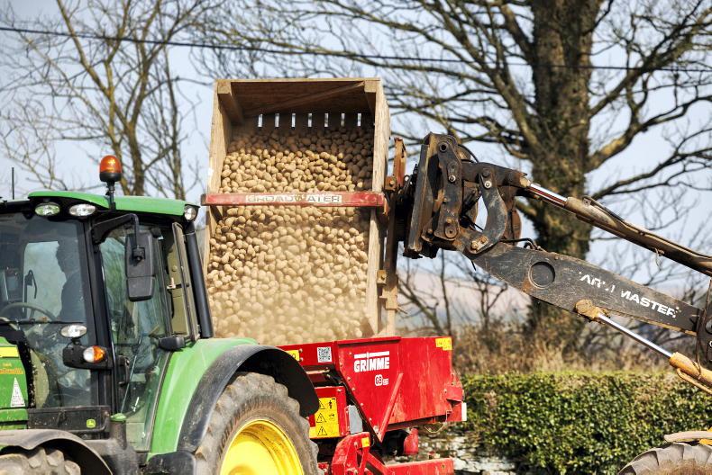 Many potato growers will not plant this year without supports – IFA Many potato growers will not plant this year without supports – IFA