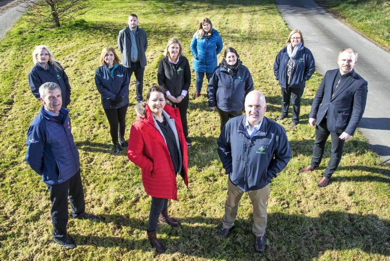 One-to-one supports now offered by Embrace Farm One-to-one supports now offered by Embrace Farm