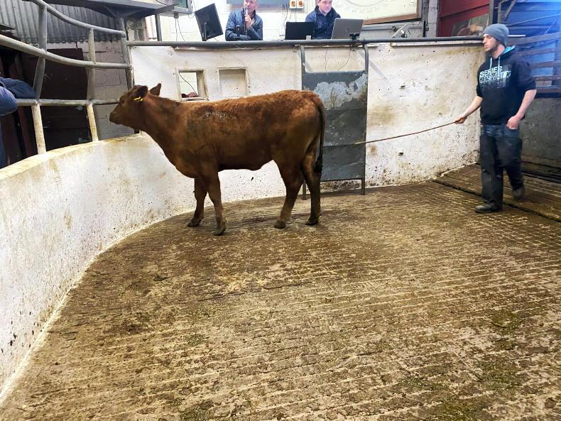 Camera at the Mart: high clearance rate in Granard Camera at the Mart: high clearance rate in Granard