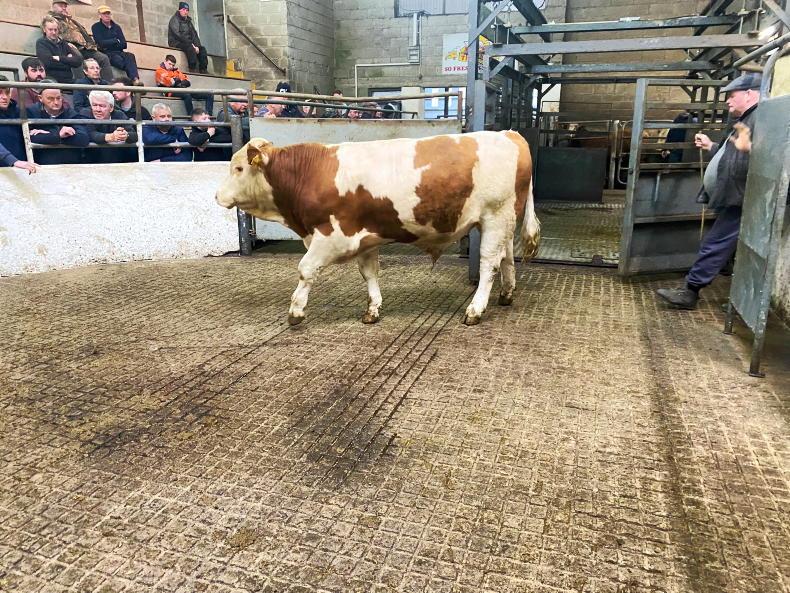 Camera at the Mart: high clearance rate in Granard Camera at the Mart: high clearance rate in Granard