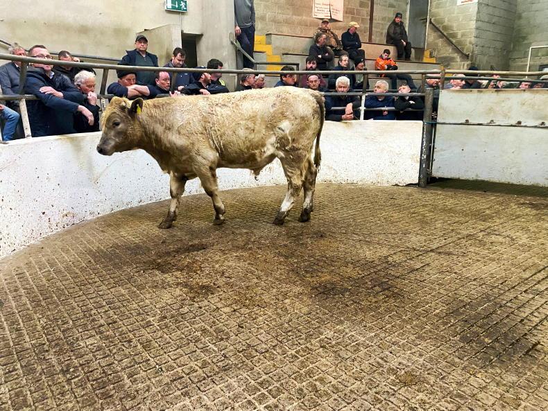 Camera at the Mart: high clearance rate in Granard Camera at the Mart: high clearance rate in Granard