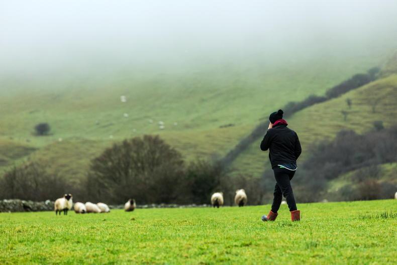 Weekend weather: cloudy and misty with some sunny spells Weekend weather: cloudy and misty with some sunny spells
