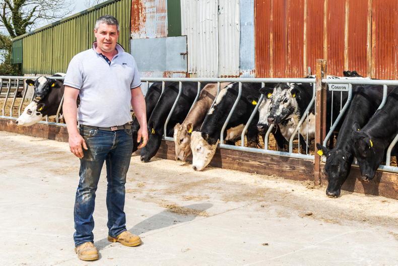 My Farming Week: Dave Moloney, Killanetig, Ballinadee, Bandon, Co Cork My Farming Week: Dave Moloney, Killanetig, Ballinadee, Bandon, Co Cork