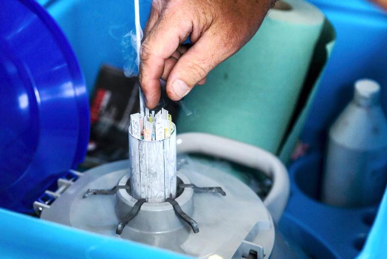 Brisk demand for sexed semen Brisk demand for sexed semen