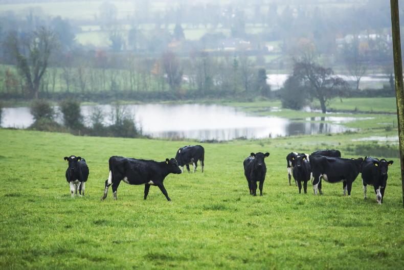 Society wants stop to dairy’s impact on water quality – Tom Arnold Society wants stop to dairy’s impact on water quality – Tom Arnold